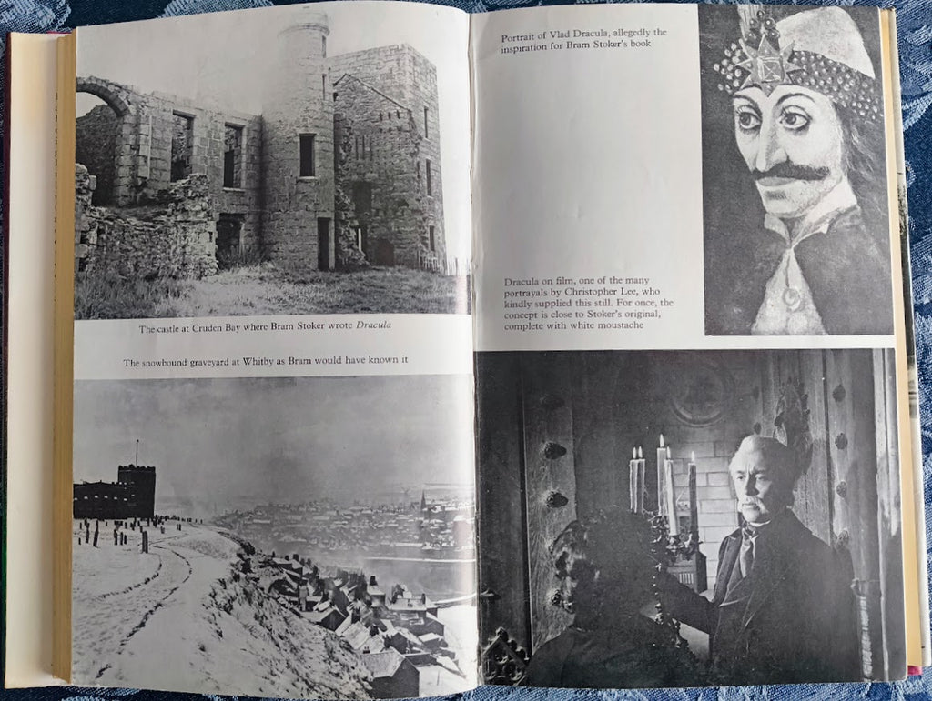 The Man Who Wrote Dracula: A Biography of Bram Stoker by  Daniel Farson.
