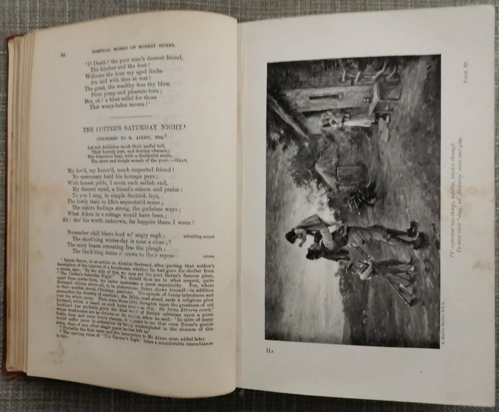 Poetical Works of Robert Burns, with Life and Notes by William Wallace