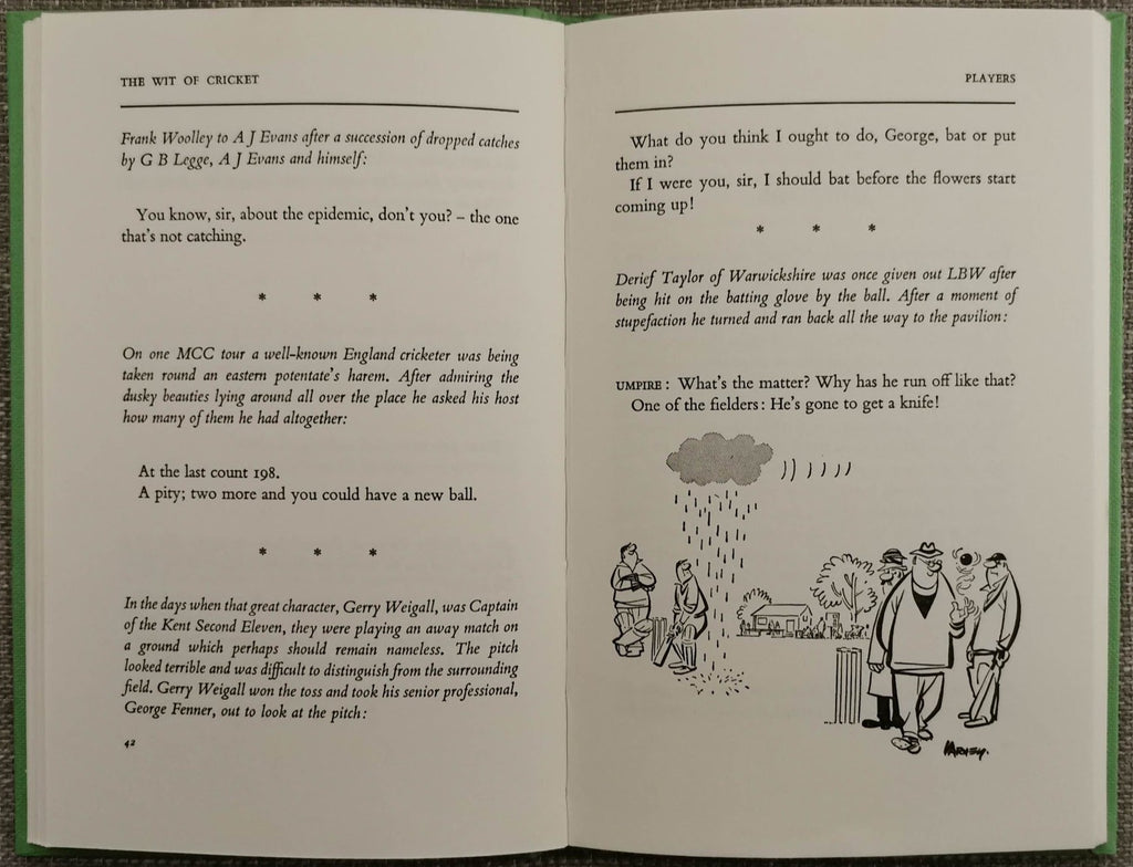 The Wit of Cricket by Johnston Brian