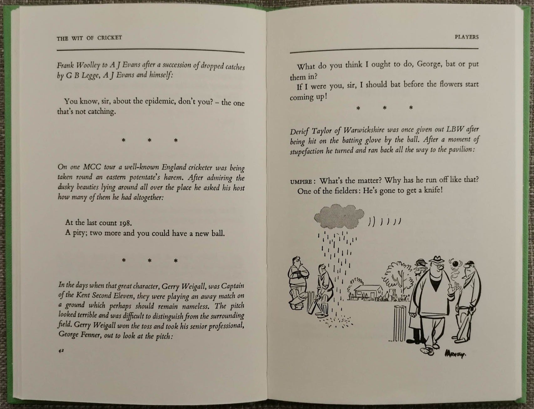 The Wit of Cricket by Johnston Brian