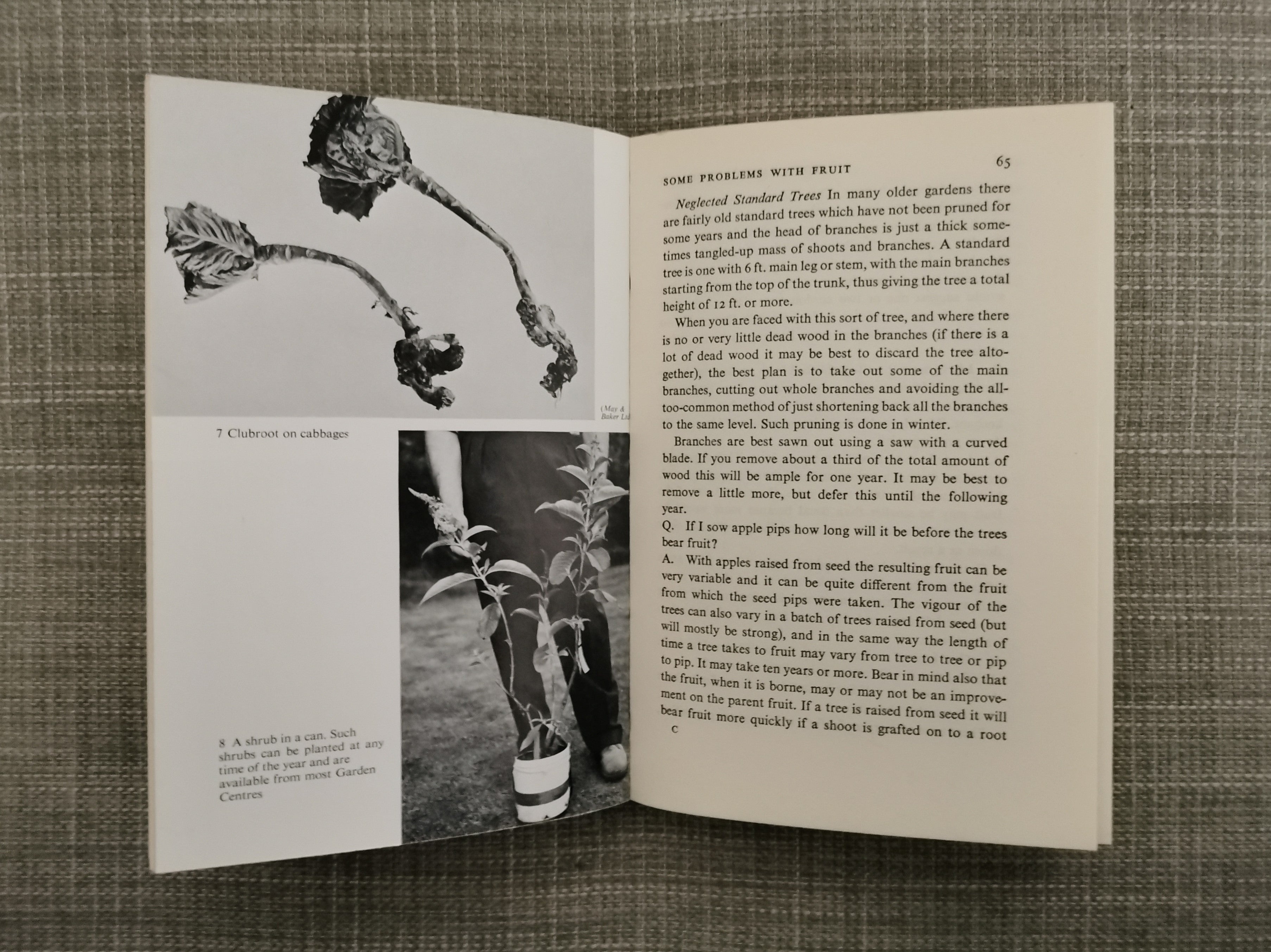 Your Garden Problems by W.H. Lewis