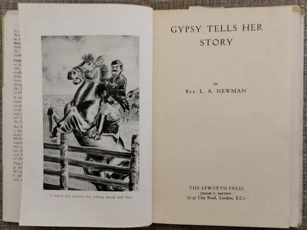 Gypsy Tells Her Story by Leslie A Newman