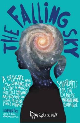 The Falling Sky by Pippa Goldschmidt