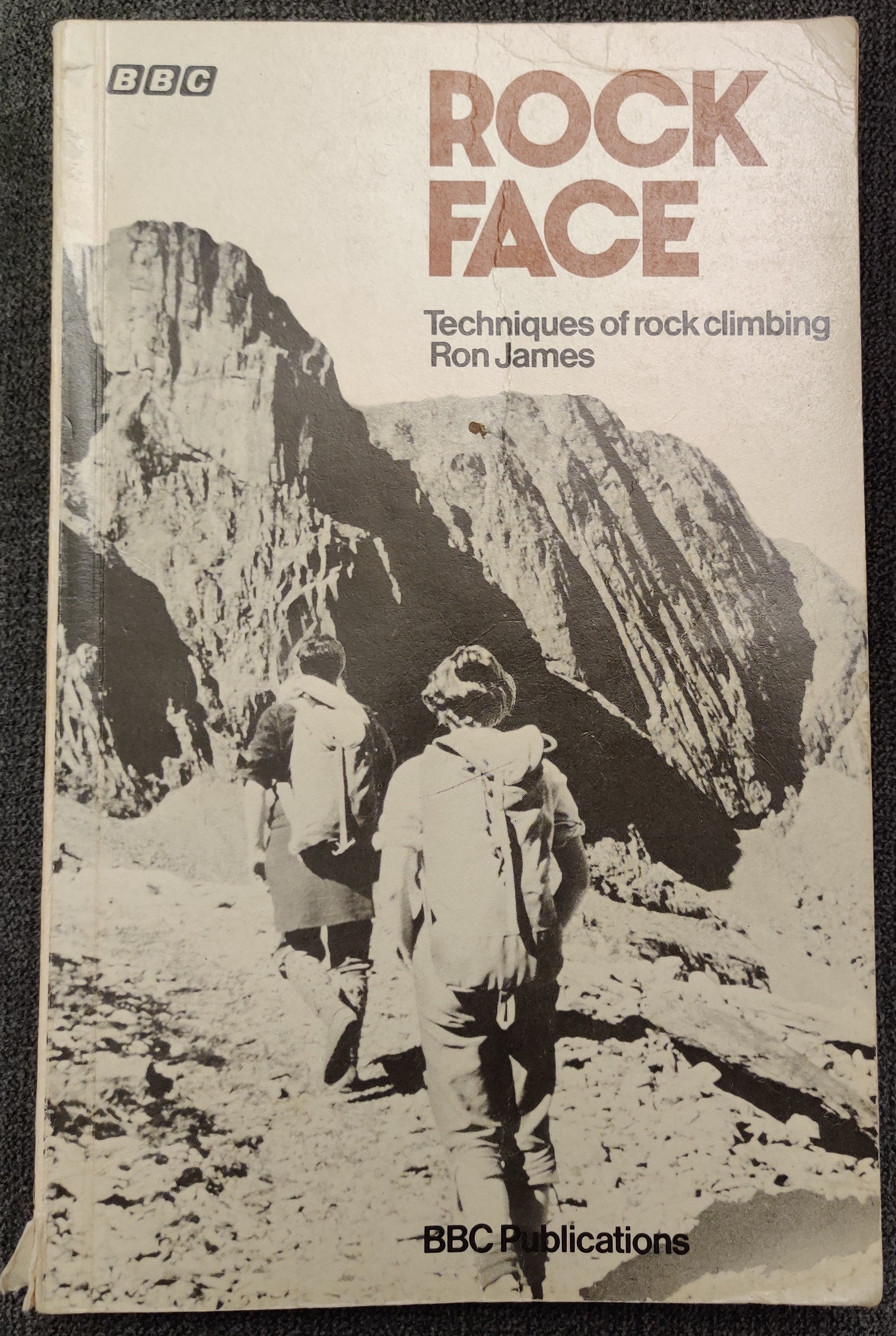 Rock Face by Ron James