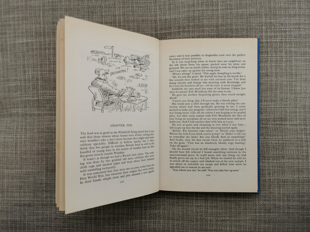 Vet in a Spin by James Herriot