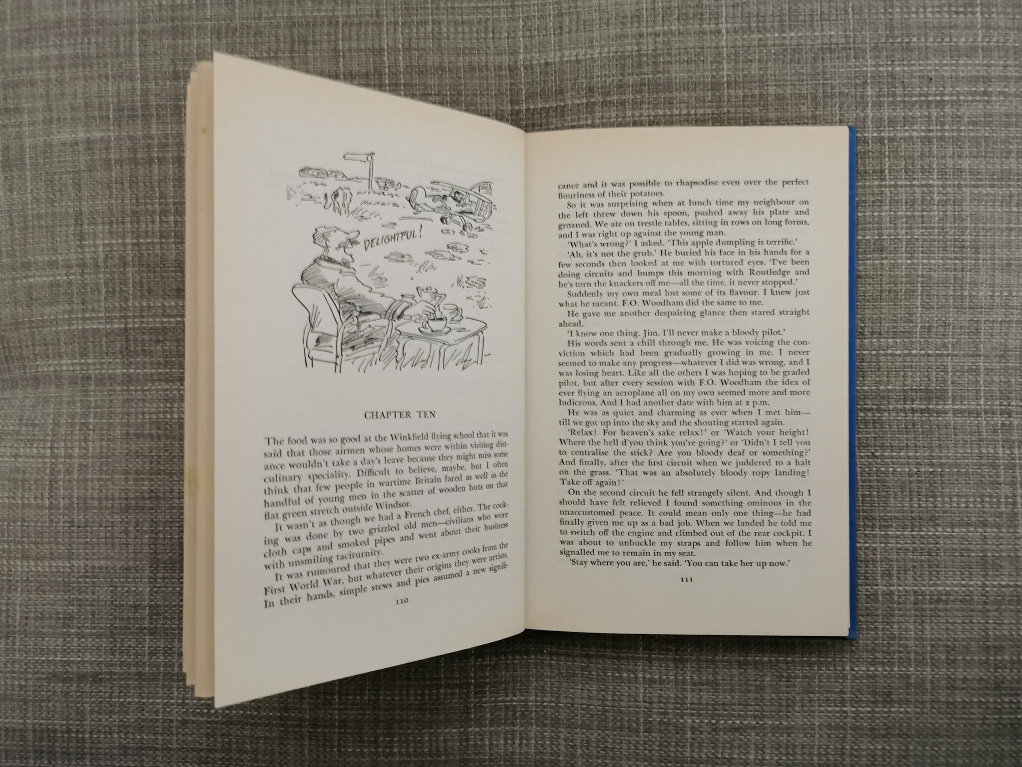 Vet in a Spin by James Herriot